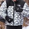 The North Face Down Jacket Unisex Gray NF0A3C8D-II6
