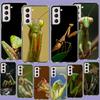 Praying Mantis Phone Case For Samsung Galaxy S25 Edge S24 S23 FE S21 S20 S10 Plus S22 S26 Ultra Cover Clear Cases TPU Capa Shell