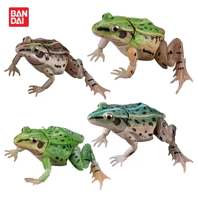 Genuine Gacha Toy Bio Guide Rana Nigromaculata Frog with Movable Joints Action Figure Toys