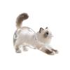 Transparent Kitten Hair Storage Box Waterproof Compact Lightweight Keepsake Pet Lover Sentimental Keychain Pendant