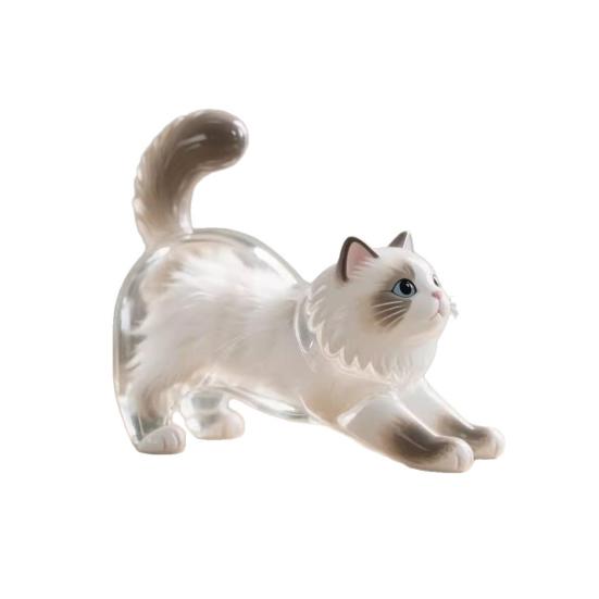 Transparent Kitten Hair Storage Box Waterproof Compact Lightweight Keepsake Pet Lover Sentimental Keychain Pendant