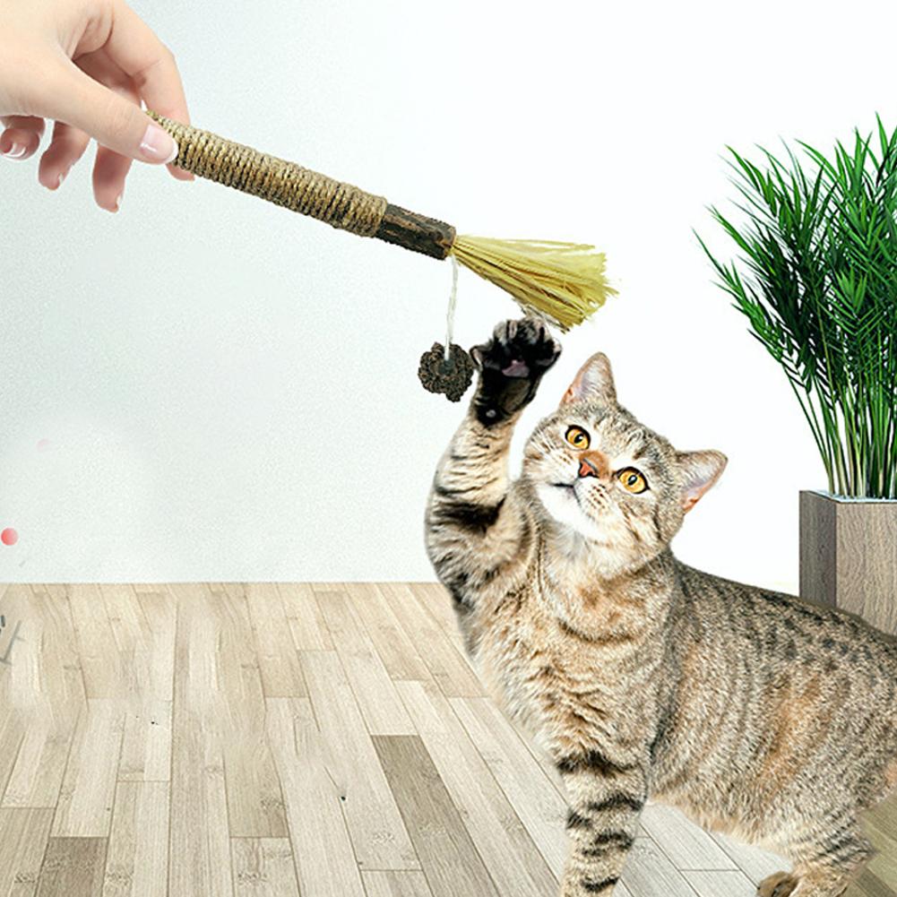 1/4/8/10 Bucăți Naturale Matatabi Snack Sticks Pisică Pet Curățare Dinte Iarbă Menta Pisică Jucărie Actinidia Silvervine Jucărie Pet Pentru Accesorii Pisică