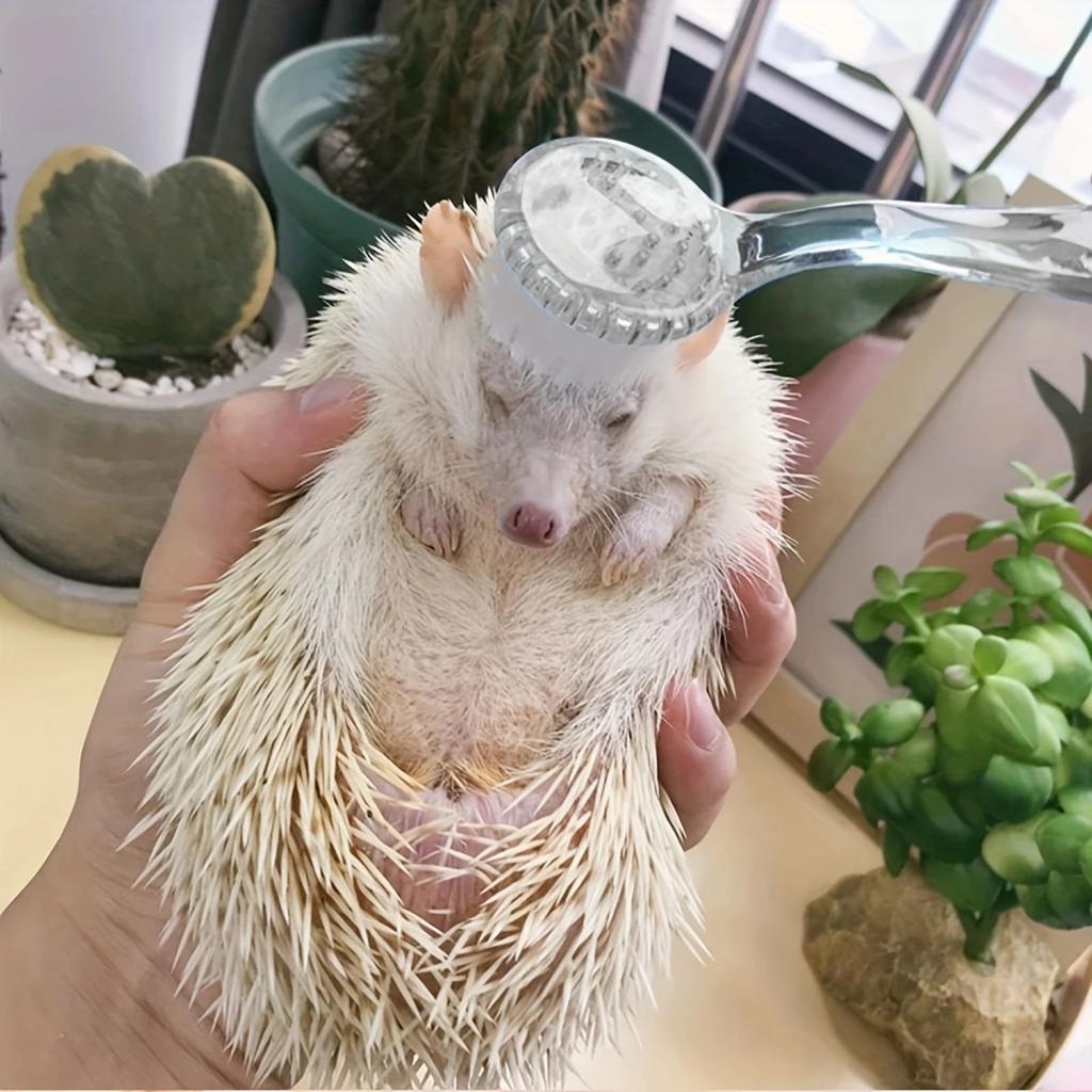 1pc Small Hamster Brush, Soft Bristle Massage Brush, Long Hair Hamster Cleaning Combing Brush, Bath Mini Brush