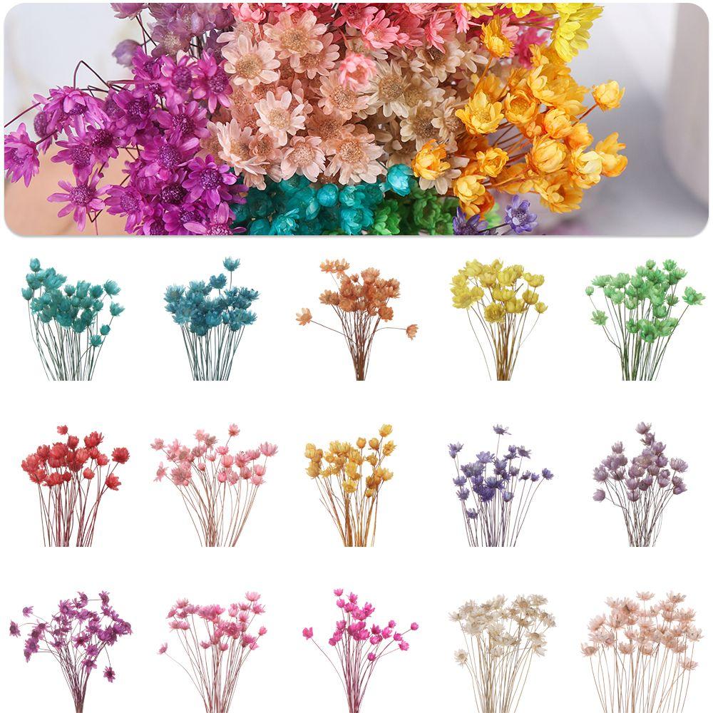 Wedding Supplies DIY Crafts Small Star Mini Daisy Floral Bouquets Dried Flowers Wedding Supplies DIY Crafts Small Star Mini Daisy Floral Bouquets Dried Flowers
