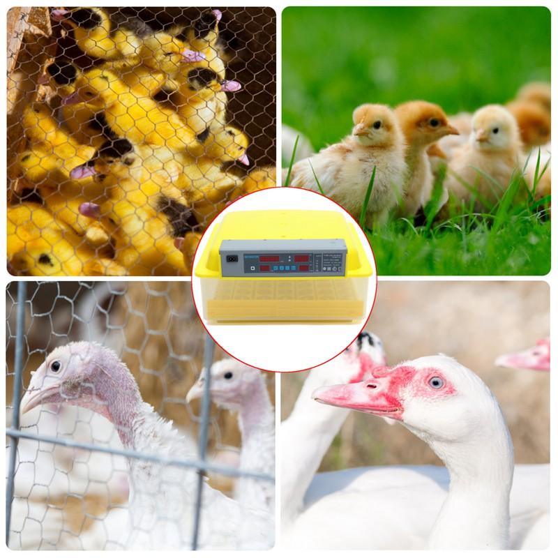 80W Digital Automatic 56 Eggs Turner Incubator Chicken Hatching Machine Temperature