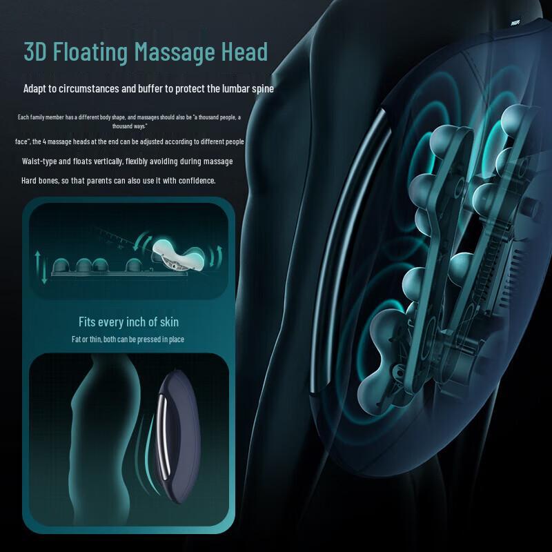 Philips Lumbar and Back Massager