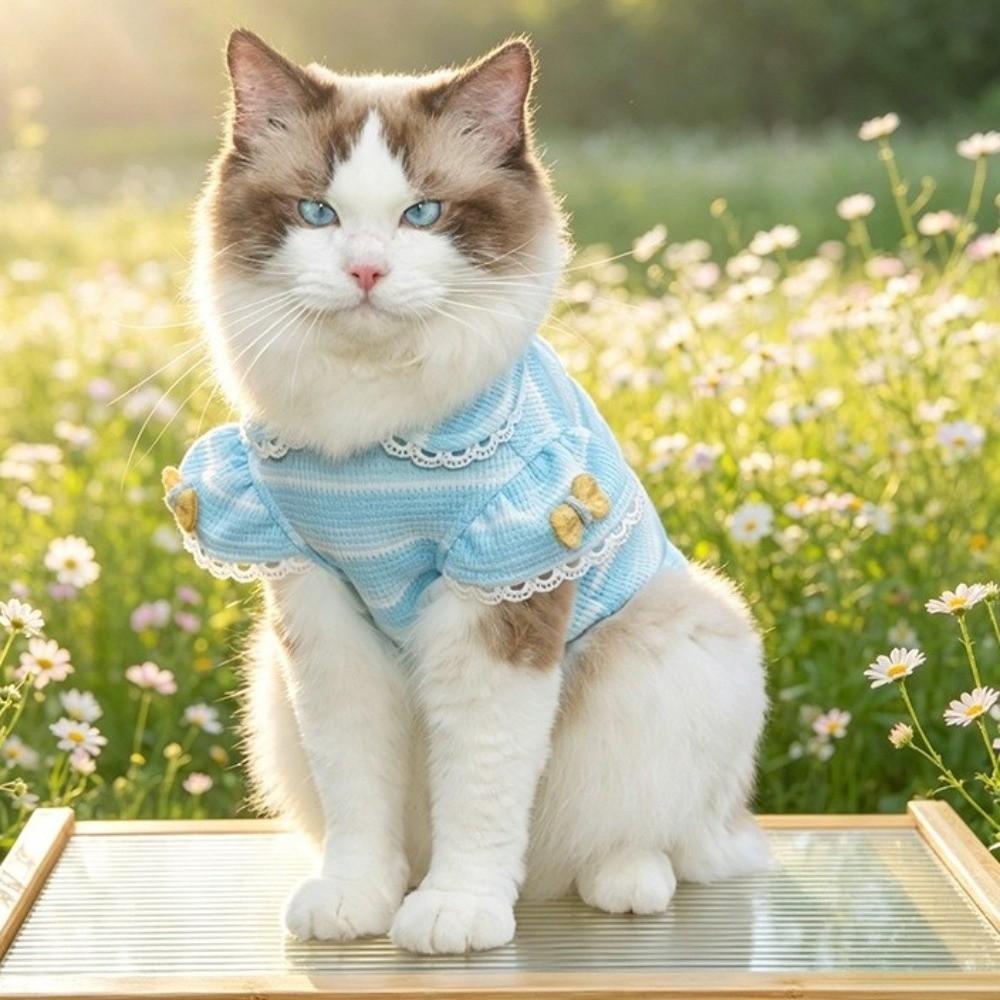 Stripe Design Dog Lace Knit Vest Breathable Pet Hoodie Soft Fabric Dog T-Shirt  Daily Wear