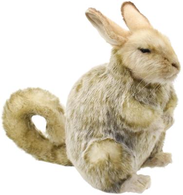 BH8144 HANSA Viscacha 32