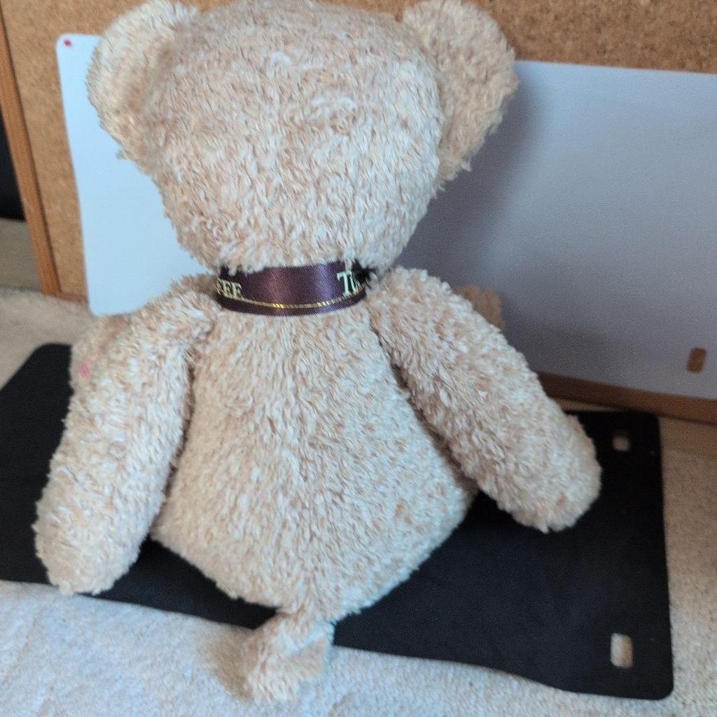 [USED] Tully's Bearful Teddy Bear 15th Anniversary Brown White