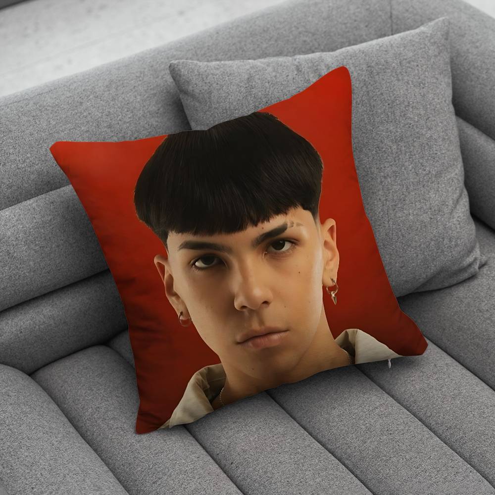 MMilo J 111 Singer pillow cover living room sofa cushion cover bedroom room bed pillow cover home decoration