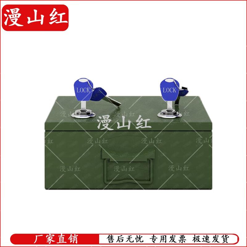 Portable Double-Lock Medicine Storage Box