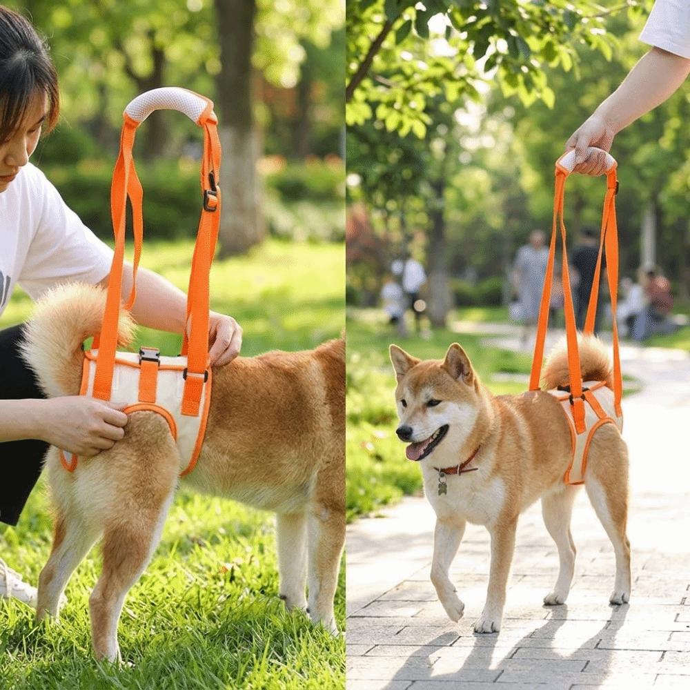 Lightweight Build Dog Lift Harness Breathable Mesh Dog Support Strap Injury Assistance
