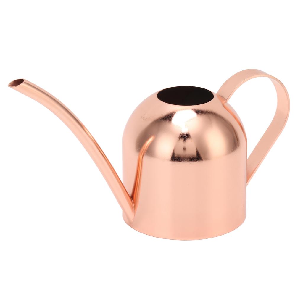 Watering Can for House Bonsai Garden Flower Outdoor Indoor Plants Long Spout Pot Stainless Steel