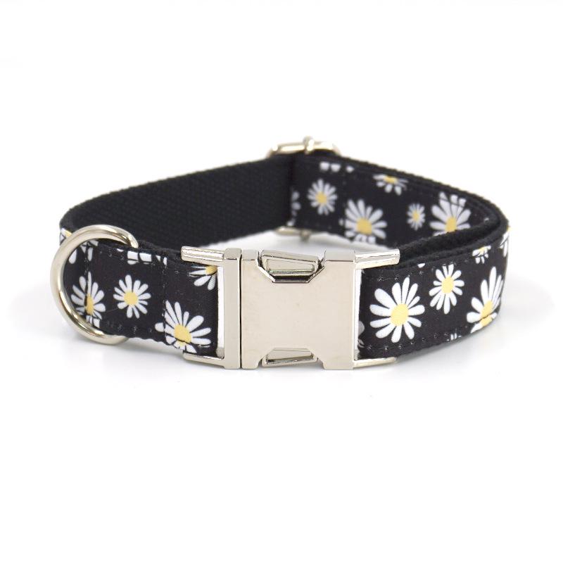 Mihala Boss Daisy Pet Collar - Small Dog Neck Accessory L