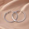 European American Style Luxury Stud Earrings: Elegant Cross-border Niche Hoops, Versatile Celebrity-inspired Accessories