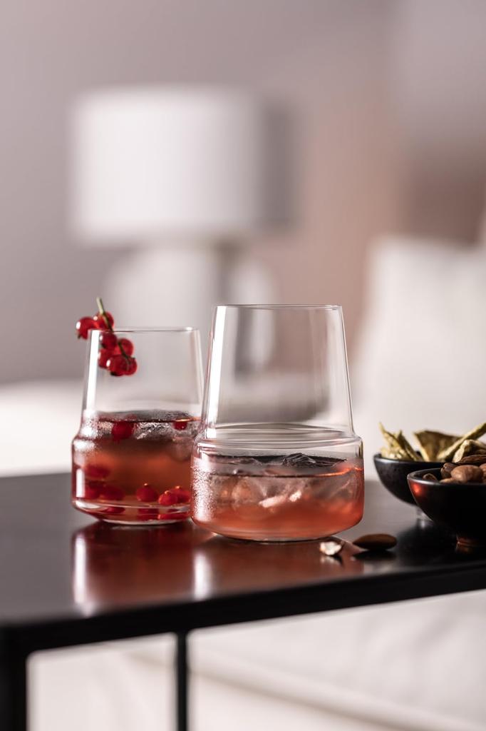 ZWIESEL GLAS Level Red Wine Tumblers, Machine-Made, Pair (m123912)