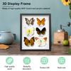 Shadow Box Picture Frame Wall Mounted Shadow Box Simple Elegant Display Cases Rectangle for Display Photos Medals Awards