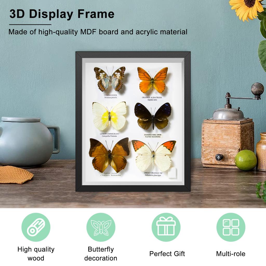 Shadow Box Picture Frame Wall Mounted Shadow Box Simple Elegant Display Cases Rectangle for Display Photos Medals Awards
