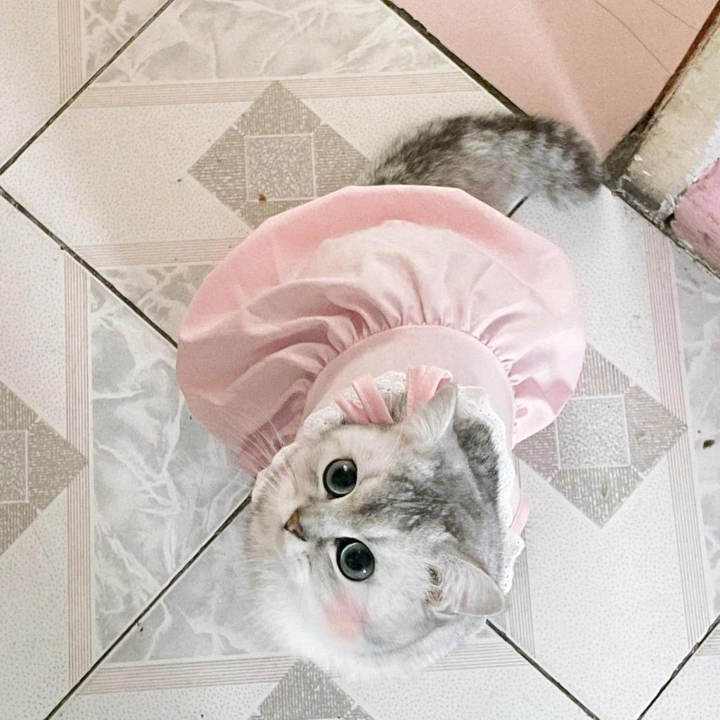 Breathable Anti-Shedding Princess Dress for Kittens and Cats, Ideal for Ragdoll and British Shorthair