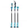 Telescopic Electric Pruning & Chainsaw Kit with Lithium Battery