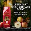 OLD SPICE BODY WASH BEARGLOVE 16oz473ml Body Wash Body Soap for Men Bear Glove [Official Import] [OSS] (with Japanese label)