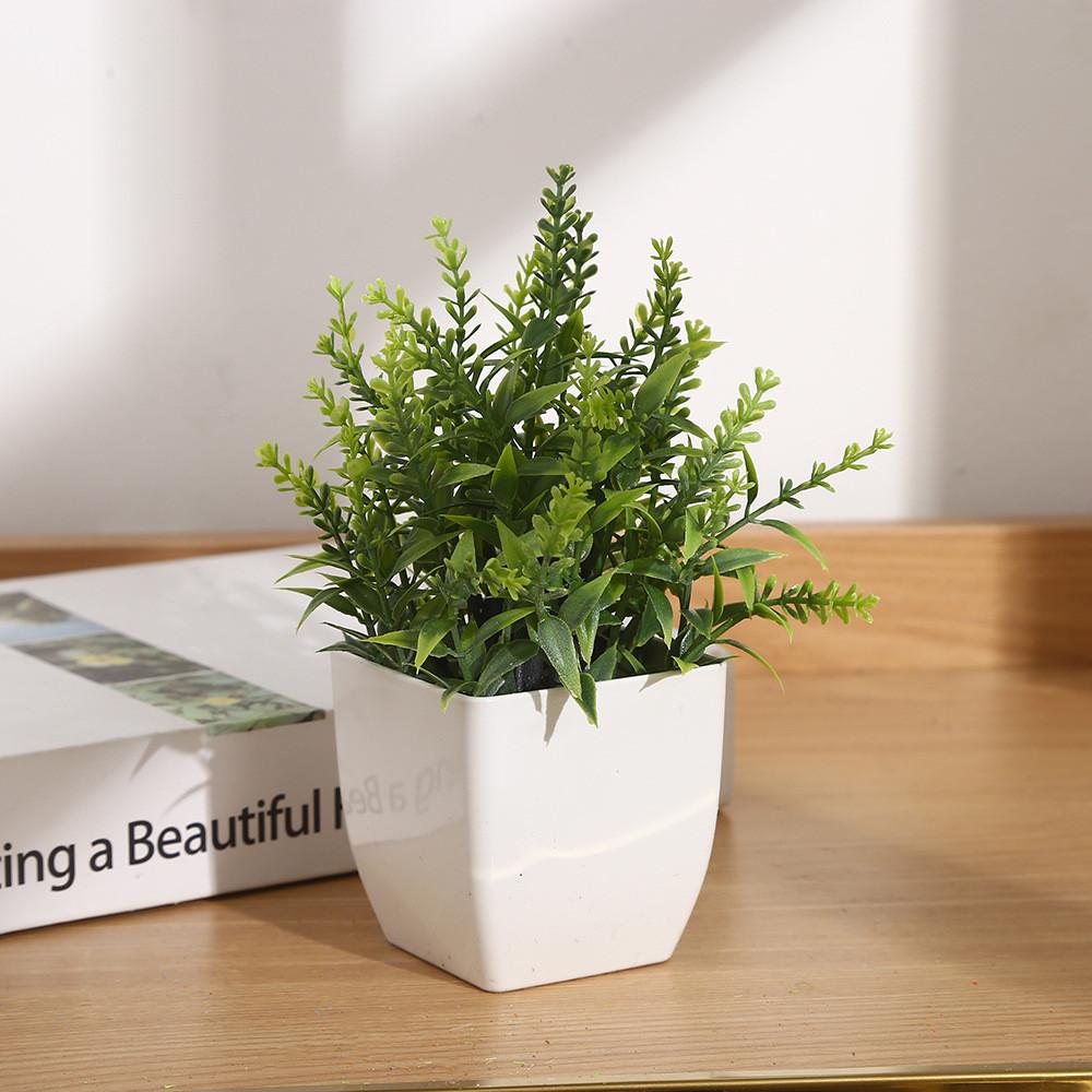 Eucalyptus Potted Greenery Plant For Indoor Living Styling Room