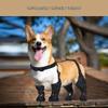 All-Season Ultra-Light Dog Shoes - Secure, Dirt-Resistant, Full Coverage Rain Boots for Small Pets