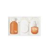 Antioxidant Skincare Essential Set of 3