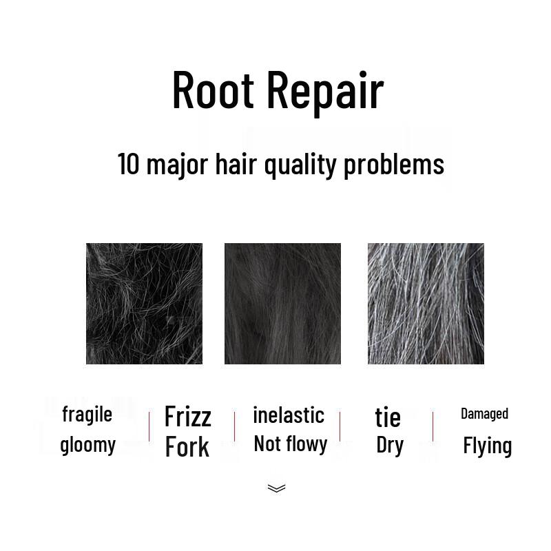 SULY Camellia Repair & Anti-Dandruff Shampoo 400g