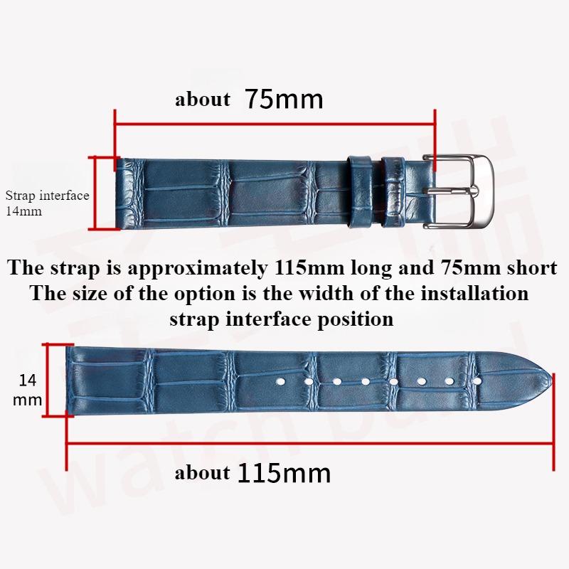 Leather watch strap women for Original MIDO BARONCELLI M027 M007 BELLUNA M024 RAINFLOWER M043 Top layer of cowhide watchband