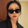 Popular Fashion Polygon Cat Eye Women Sunglasses Retro Colorful Oval Eyewear Shades UV400 Men Trending Sun Glasses
