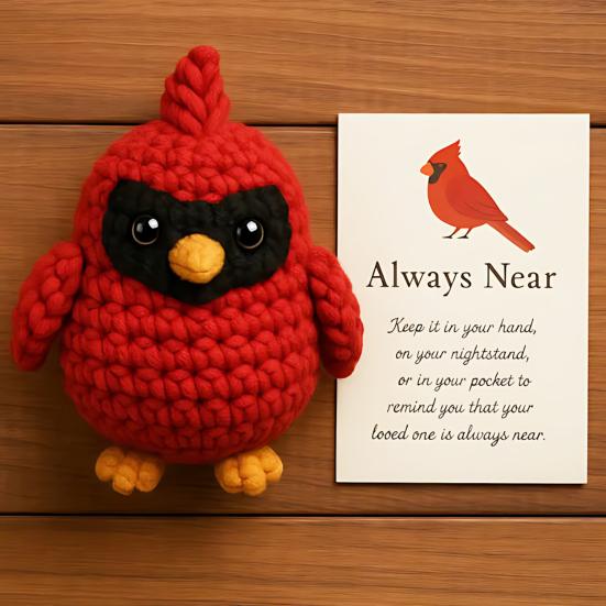 Yousheng Crochet Red Bird Emotional Support Ornament with Inspirational Card Pocket-Sized Hug Companion Positive Bird Gift for Women Loved Ones