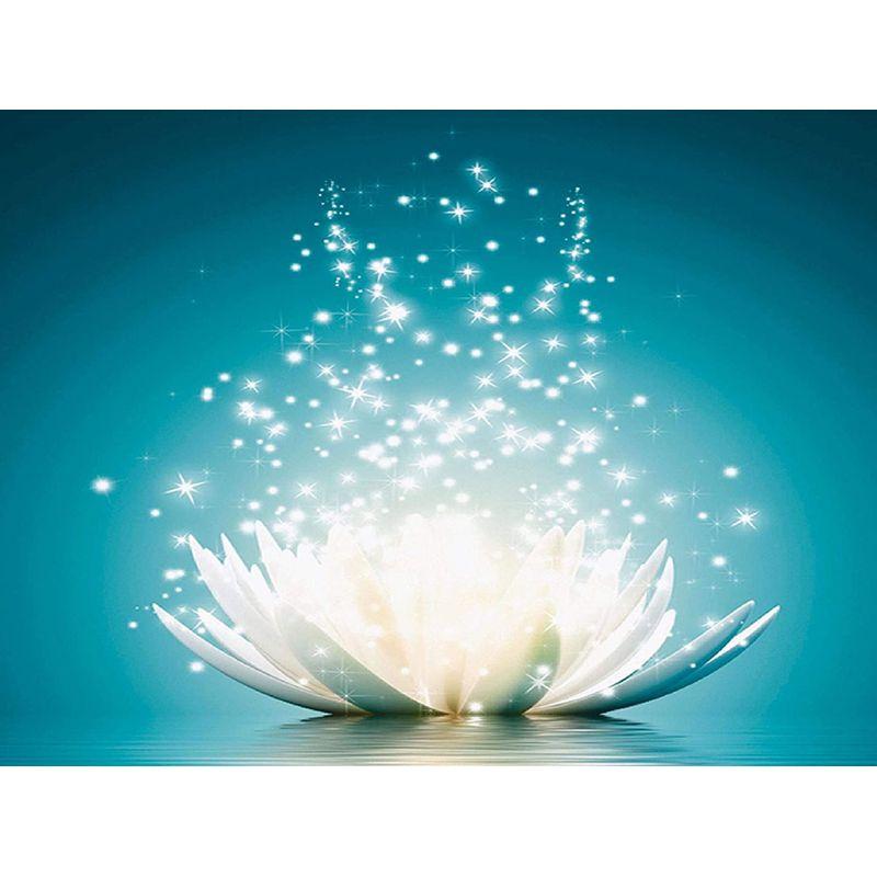 

5D DIY Алмазная картина Вышивка крестом Ремесло Полная дрель Мозаика Алмазная вышивка Новое поступление Стразы Мозаичные украшения для дома Full Round 20x25CM