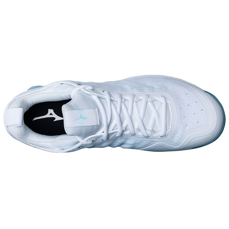Mizuno Wave Luminous 2 Shock Absorption Non-Slip Durable Breathable Low-Top Volleyball Shoes Unisex Sneakers White Blue V1GA212066