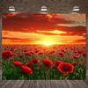 2D Poppy Flower Field Sunset Backdrop for Nature Photography & Landscape Shoots