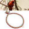 Bird Cotton Rope   Toy Colorful   Swing Toys for Parakeets Cockatiels Conure Lovebirds Finches Macaw