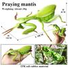 Oenux Insect Animal Wild Reptile Model Soft TPR Mantis Lizard Chameleon Housefly Gekko Action Figures Halloween Trick Kid Toy