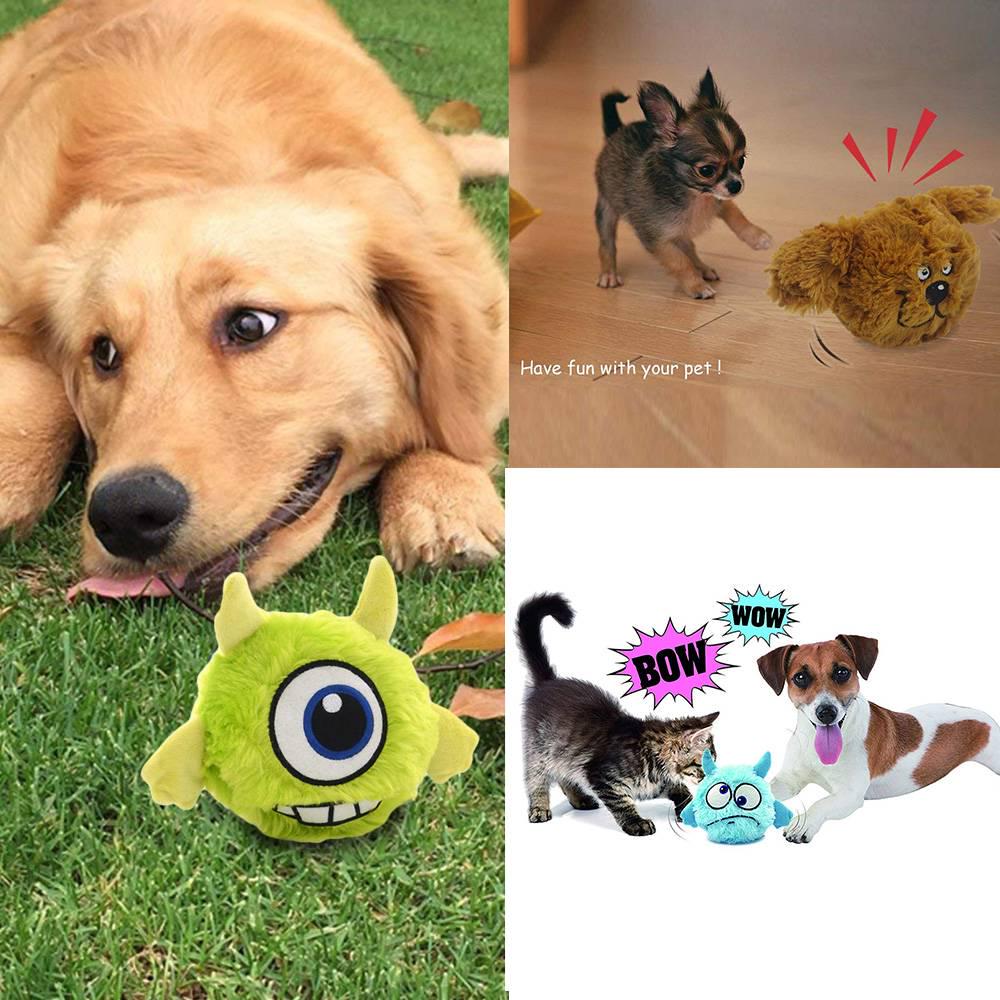 automated dog toys