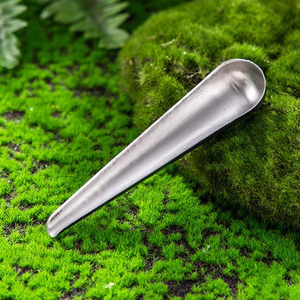 3Pcs Stainless Steel Feeding Tool Feeding Bird Supplies Pet Bird Food Spoon Bird Cage Bird Spoon