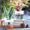 Flowerpot Transparent Leakproof Thickened Anti-crack Self Watering Decorative Hydroponic Plant Pot Garden Planter Window Plant Pot Garden Accessories