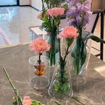 Decorazione del soggiorno Vaso di vetro doppio trasparente colorato Terrario Vasi di fiori Arte decorativa