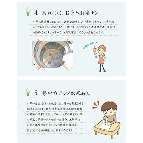 IKEHIKO Kitchen Mat, Made in Japan, Igusa Grass, Polka Dot Pattern, F Drop, Green, Approx. 80 x 270 cm, #8230930