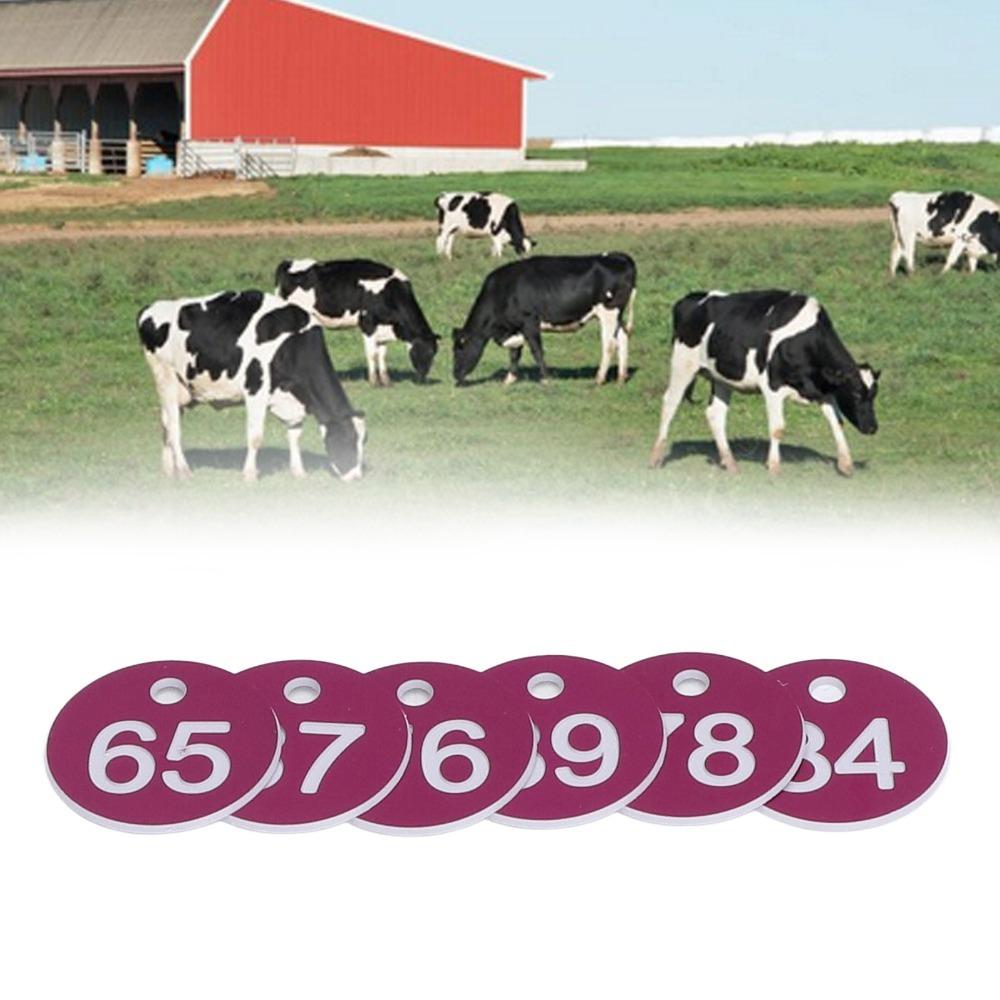 50Pcs ABS Numbered Labels Numbered 51-100 Beekeeping Supplies Animal Husbandry фиолетовый