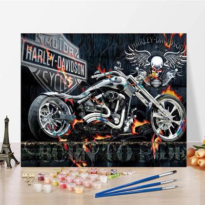 Home Decoration Painting By Numbers Hand Painted Canvas Painting Decompression DIY Digital Oil Painting