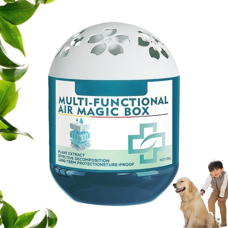 

Plant Gel Dust Collector For Automatic Dust Absorption And Indoor Air Freshening Without Electricity Needed