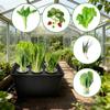 Plant Starter Trays Greenhouse Propagator Cover Flowers Vegetables Growing Plant Starter Trays For Flowers Vegetables Indoor