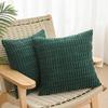 2 pieces/set Velvet Texture Pillow Covers Soft Throw Pillow Ribbed Velvet Cover  Living Room