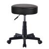 Adjustable Swivel Lab/Bar Stool