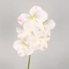 Real Touch Artificial Vanda Orchid Flower Handmade Faux Phalaenopsis  Wedding Party Favors
