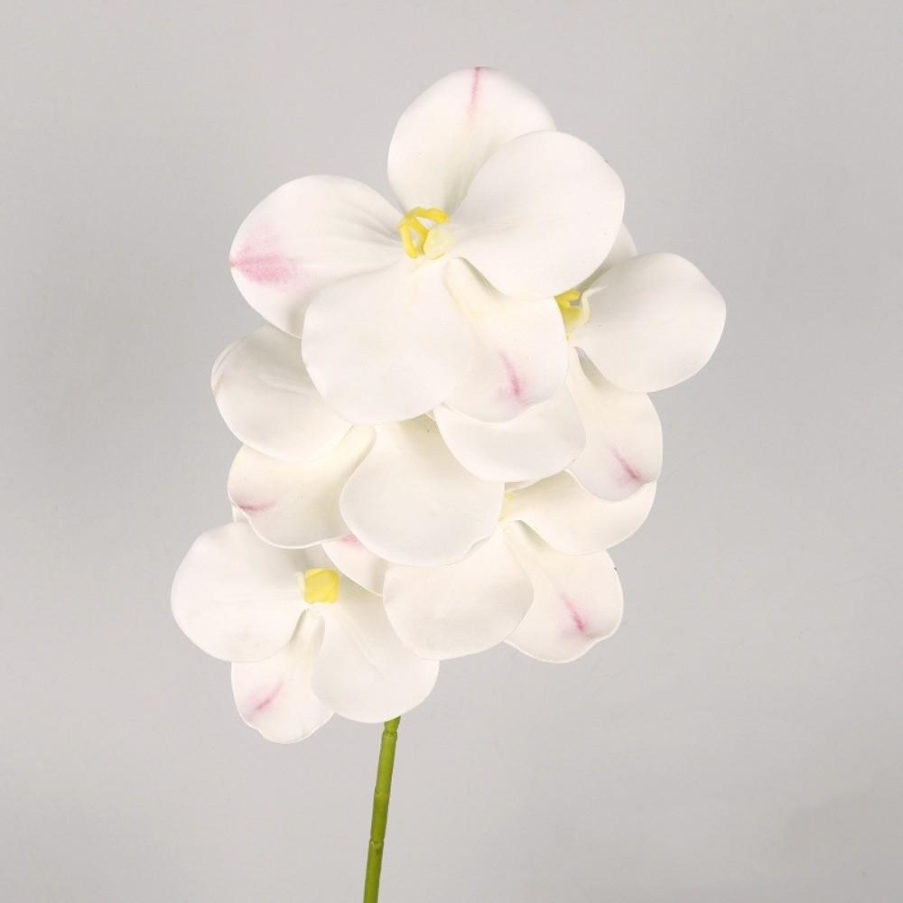 Real Touch Artificial Vanda Orchid Flower Handmade Faux Phalaenopsis  Wedding Party Favors